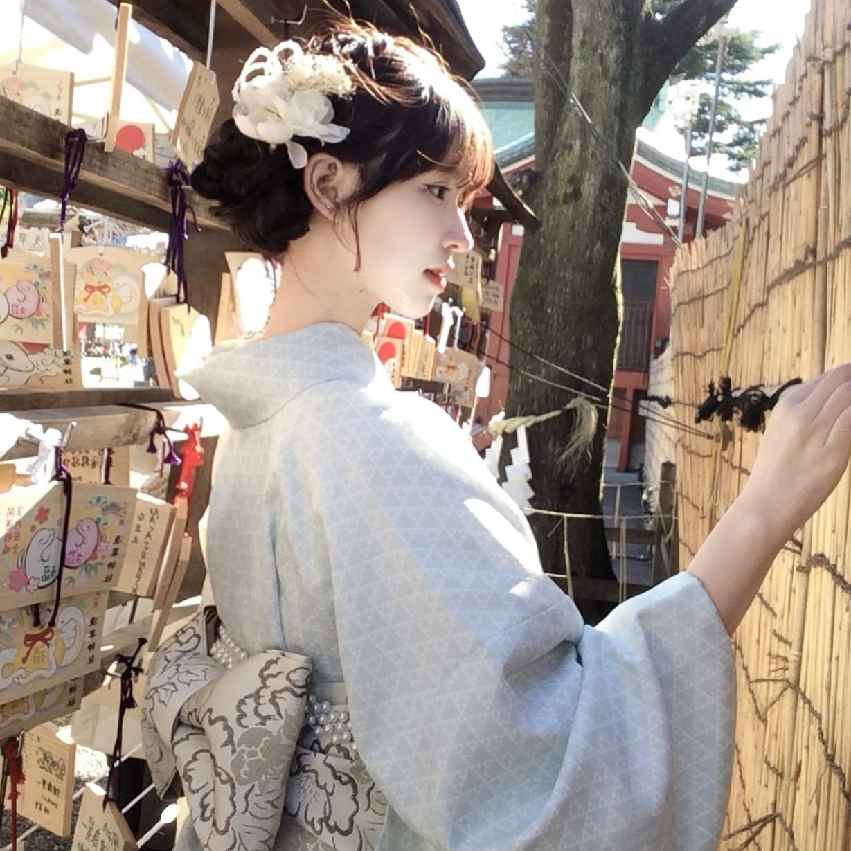 King Charles Cavalier